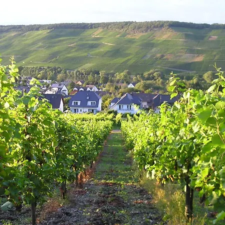 Roussel Restaurant Apartment Bernkastel-Kues