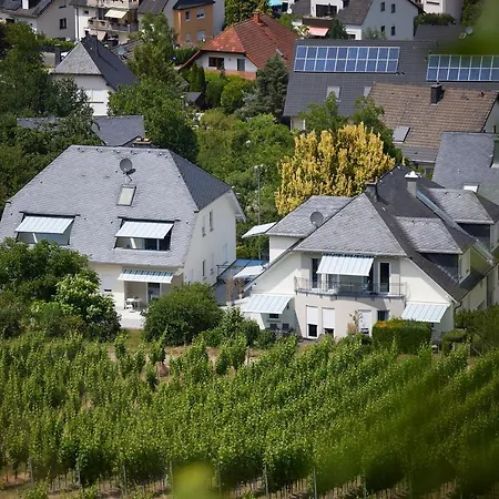 Roussel - Restaurant *