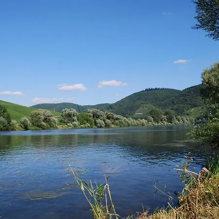 Feriendomizil&weingut Roussel Mit Restaurant La Bonne Adresse
