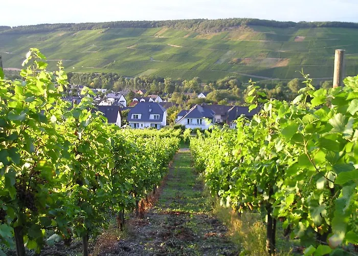 Roussel Restaurant Apartment Bernkastel-Kues