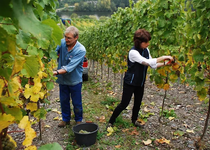 Apartment Roussel Restaurant *