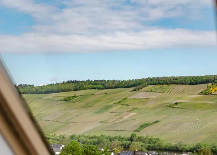 Roussel Restaurant * 베른카슈텔쿠에스